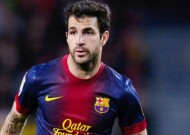 Fabregas chưa từng tiếp xúc với M.U