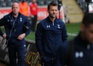 Sherwood blames pitch for Dnipro loss