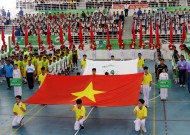 Vòng chung kết Giải bóng đá Hội Khỏe Phù Đổng - Cúp Milo Lần thứ XIII – 2015