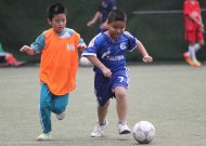 Festival bóng đá học đường khối Tiểu học Quận Phú Nhuận - TPHCM, năm học 2016 - 2017