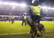 Racist chanting at Millwall v Everton investigated by FA